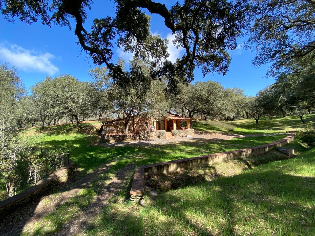 Valle Del Arroyo Casas Rurales - B&B - Solo Adultos Cortelazor Екстер'єр фото
